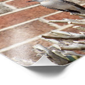 Spott Bird über Bush vor dem Gebäude von Brick Fotodruck (Ecke)