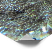 Spott den Skorpionfisch Poster (Ecke)