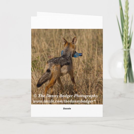 Spott-schüchtern danke zu kardieren (Rückseite)