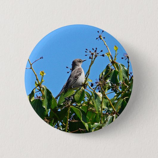 Spottdrossel Button (Vorderseite)
