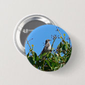 Spottdrossel Button (Vorne & Hinten)
