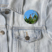 Spottdrossel Button (Beispiel)
