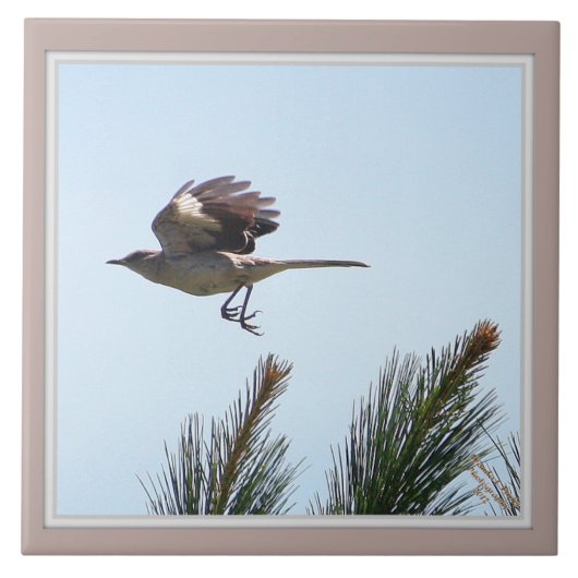 Spottdrossel-im Flug dekorative Fliese (Vorderseite)