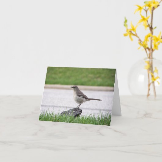 Spottdrossel Karte (Gelbe Blume)