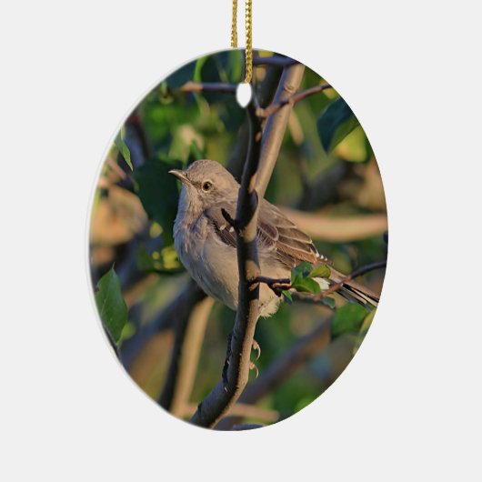 Spottdrossel Keramikornament (Rechts)