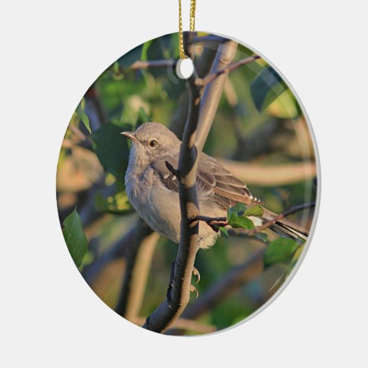 Spottdrossel Keramikornament (Links)