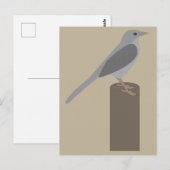 Spottdrossel Postkarte (Vorne/Hinten)