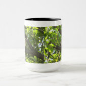 Spottdrossel-Tasse Tasse (Zentrum)