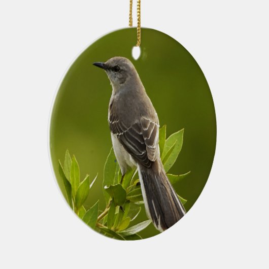 Spottdrossel-Vogel-Liebhaber-Geschenke Keramikornament (Rechts)