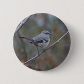 Spottdrossel-Vogelkunde Button (Vorderseite)