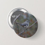 Spottdrossel-Vogelkunde Button (Vorne & Hinten)