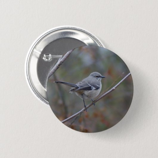 Spottdrossel-Vogelkunde Button (Vorne & Hinten)
