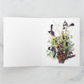 Spottdrossel von Audubon Karte (Innenseite)