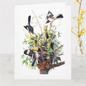 Spottdrossel von Audubon Karte (Gelbe Blume)