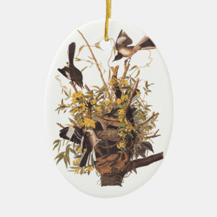 Spottdrosseln von Audubon verteidigen ihr Nest Keramikornament