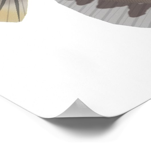 Spotted Scat Poster (Ecke)