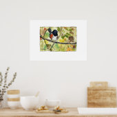 Spotted Towhee, bird image, wall art, decoration Poster (Küche)