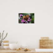 Spotted Wings Poster (Küche)