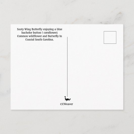 Spotting auf Kornblume Postkarte (Rückseite)