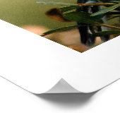 Spottvogel Poster (Ecke)