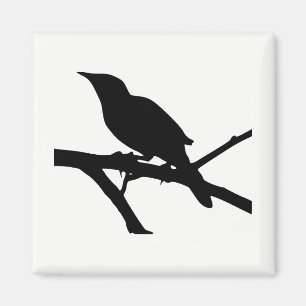 Spottvogelsilhouette Magnet