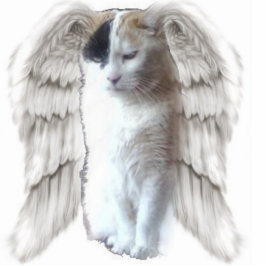 Spotty Angel Foto-Skulptur Freistehende Fotoskulptur