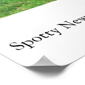 Spotty NZ Lambs Poster (Ecke)