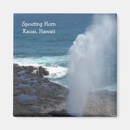 Spouting Horn in Kauai, Hawaii Magnet (Vorne)