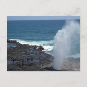 Spouting Horn Kauai, Hawaii Postkarte