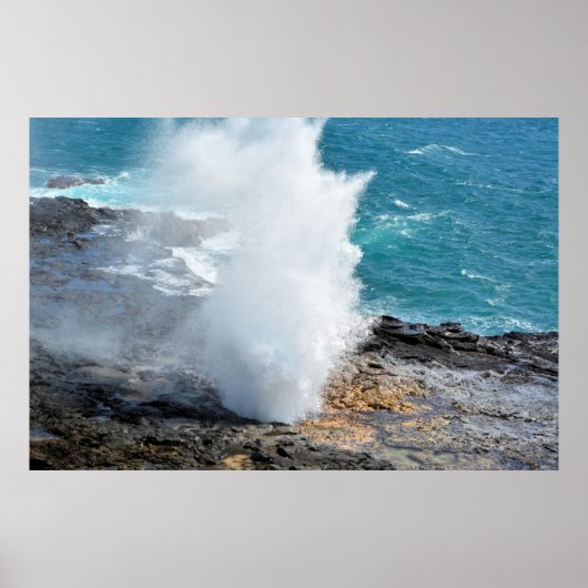 Spouting Horn Poster (Vorne)