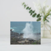 Sppouting Horn Postcard Postkarte (Stehend Vorderseite)