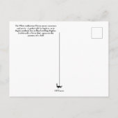 Sprache der Blume - Anthurium Postkarte (Rückseite)