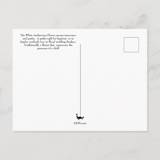 Sprache der Blume - Anthurium Postkarte (Rückseite)