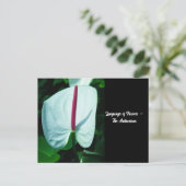 Sprache der Blume - Anthurium Postkarte (Stehend Vorderseite)