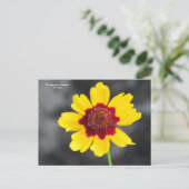 Sprache der Blume: AStV Postkarte (Stehend Vorderseite)