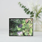 Sprache der Blume Die BlackBerry Postkarte (Stehend Vorderseite)