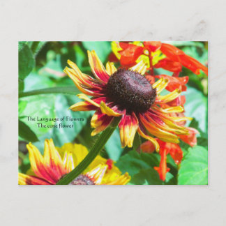 Sprache der Blumen die Kegelblume Postkarte