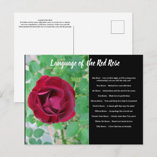 Sprache der Postkarte der Rose (Vorne/Hinten)