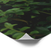 Sprachtherapeut (SLP) Office Poster (Ecke)