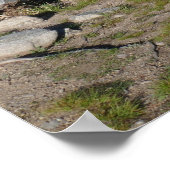 Sprague Lake II im Rocky Mountain National Park Poster (Ecke)