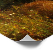 Sprague Lake im Herbst Poster (Ecke)