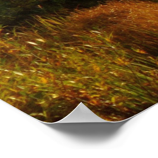 Sprague Lake im Herbst Poster (Ecke)