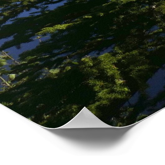 Sprague Lake View Poster (Ecke)