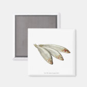 Sprats Magnet (Vorderseite/Rückseite)