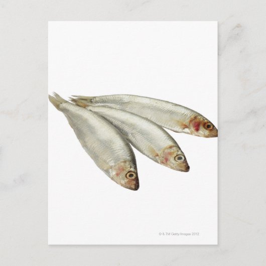 Sprats Postkarte (Vorderseite)
