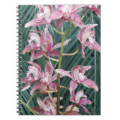 Spray of Pink Cymbidium Orchids Floral Notizblock (Vorderseite)