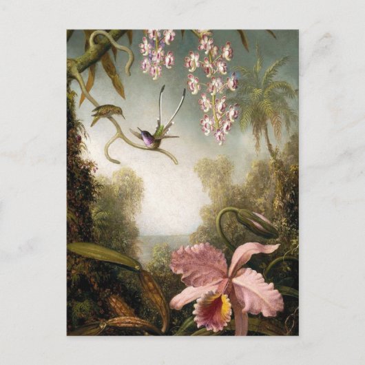 Spray Orchids mit Hummingbird Postcard Postkarte (Vorderseite)