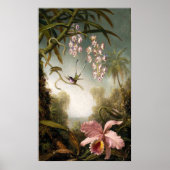 Spray Orchids mit Hummingbird Poster (Vorne)