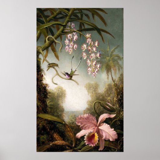 Spray Orchids mit Hummingbird Poster (Vorne)