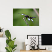 Spray Painted Dragonfly Wings Poster (Heimbüro)